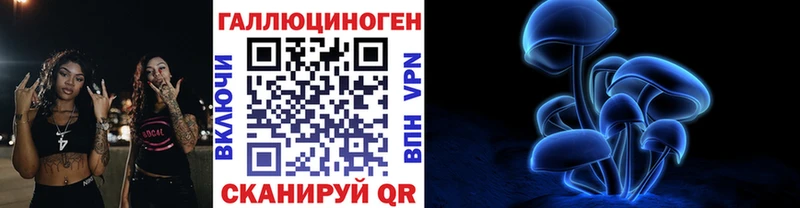 Купить  Болохово  Галлюциногенные грибы мицелий 